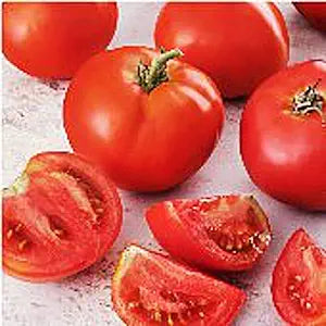Creole Tomato Solanum lycopersicum for planting in vegetable patch