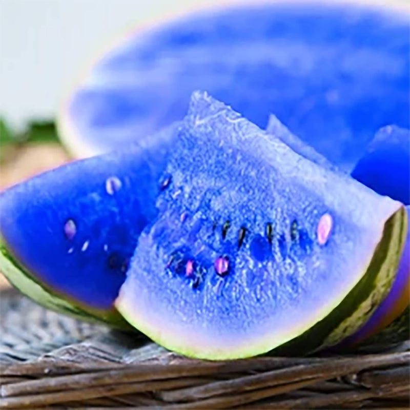 Blue Watermelon Seeds for Planting | Unique Watermelon Variety for Your Garden