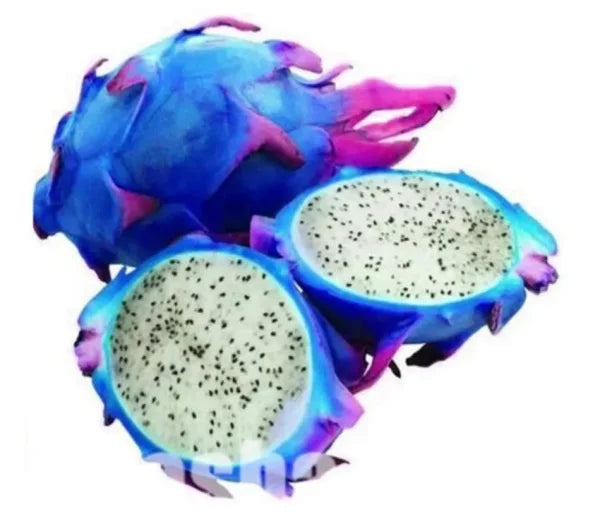 Sky Blue Pitaya Fruit Seeds for Planting - Exotic Tropical Delights