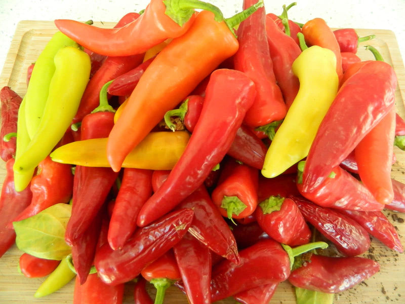 Capsicum annuum Hungarian Pepper seeds for planting in garden and vegetable patch