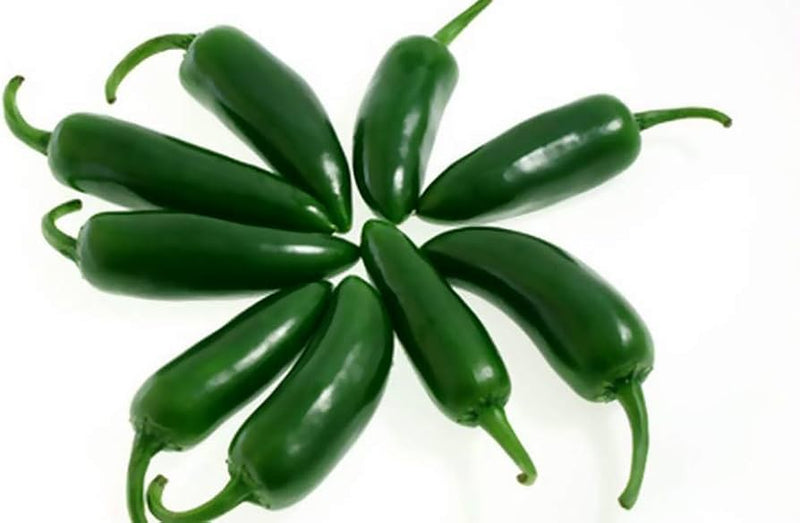 Jalapeno Capsicum annuum pepper seeds for planting