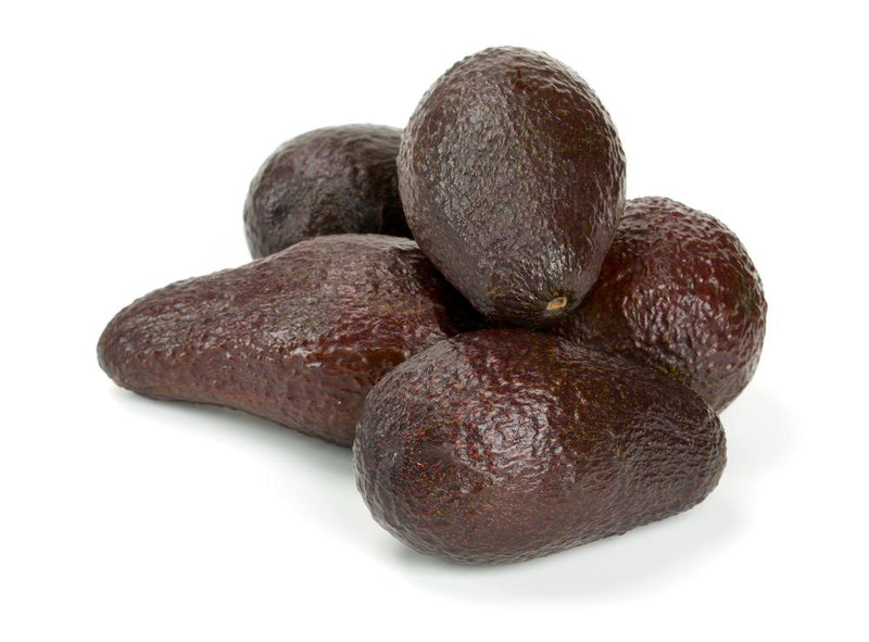 Brown Coldhardy Avocado Seeds for Planting
