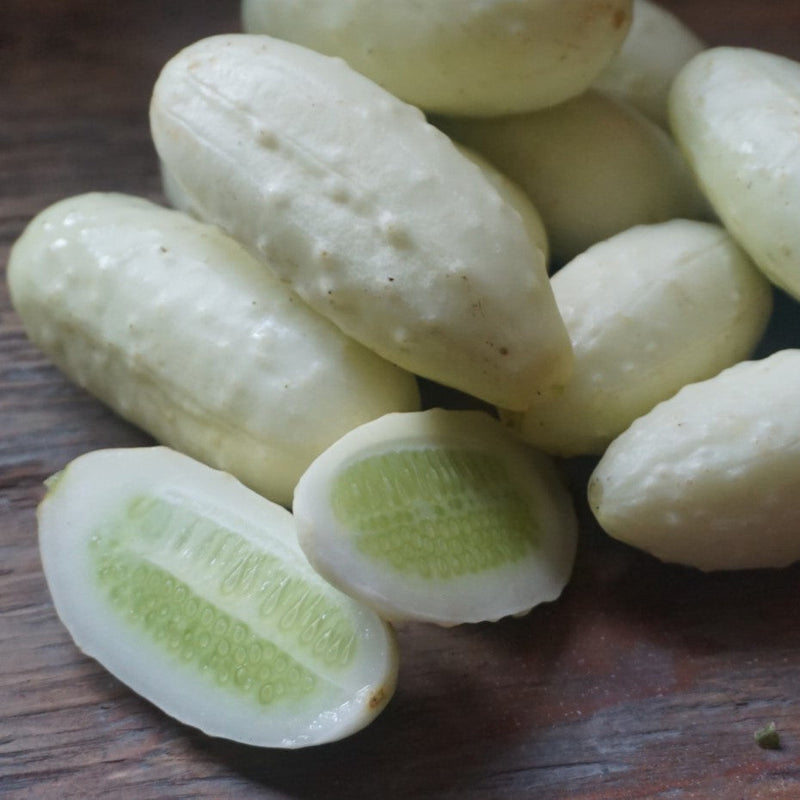 Mini White cucumber seeds for home gardens