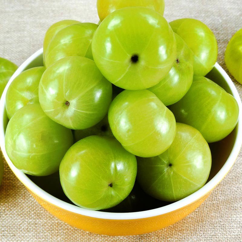 Green Amla Seeds for Planting - Grow Your Own Amla Tree
