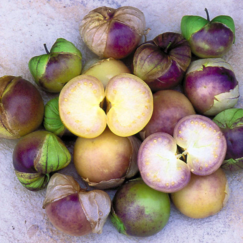 Tomatillo Fruit Seeds for Planting