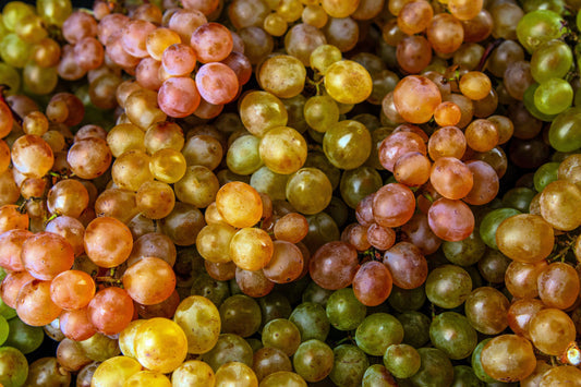 Wine Grape (Vitis vinifera) mixed color fruit vine seeds