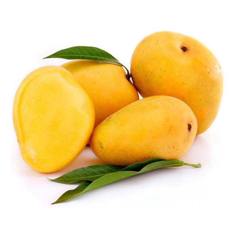 Yellow mango seeds for planting sweet tropical mango trees