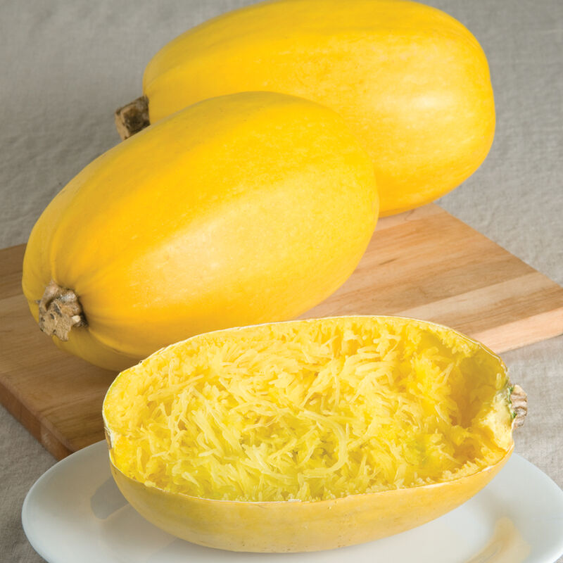 Spaghetti Squash Vegetable Seeds for Easy Planting
