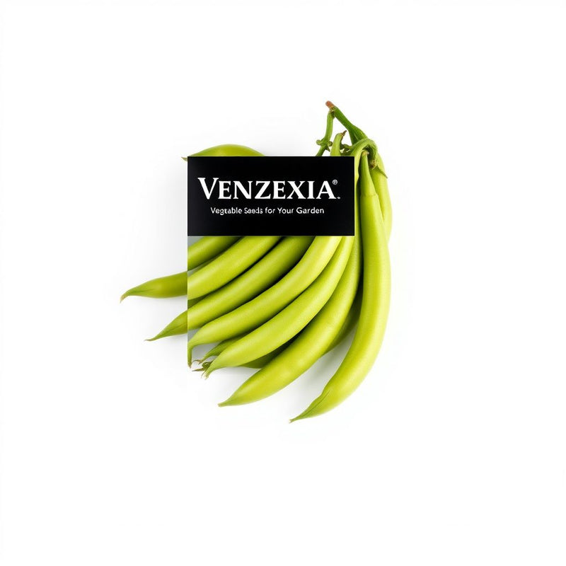 Venezia Bean Vegetable Seeds for Your Garden