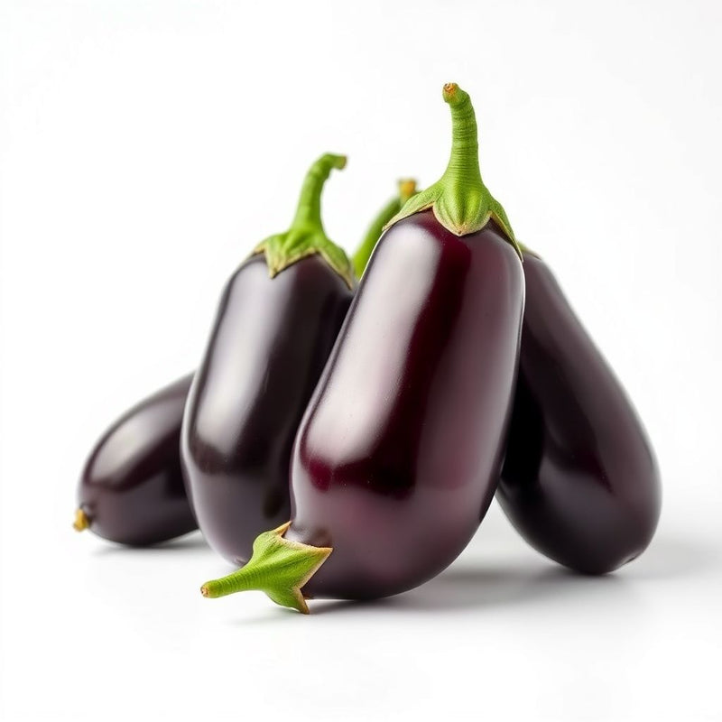 Thai Eggplant Petch Siam Solanum melongena Seeds for Planting vegetable patch home garden