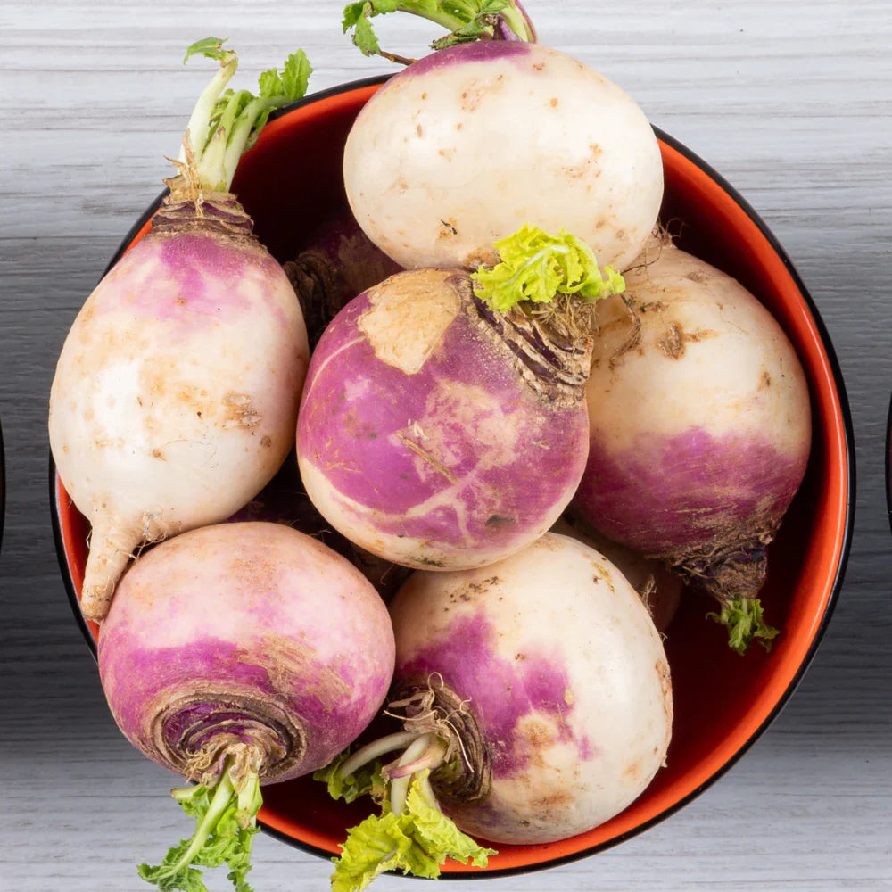Watermelon Radish Vegetable Seeds for Planting
