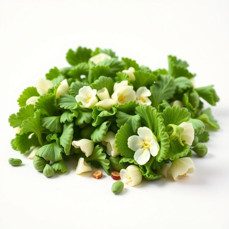 Green and White Florence Vegetable Planting Seeds