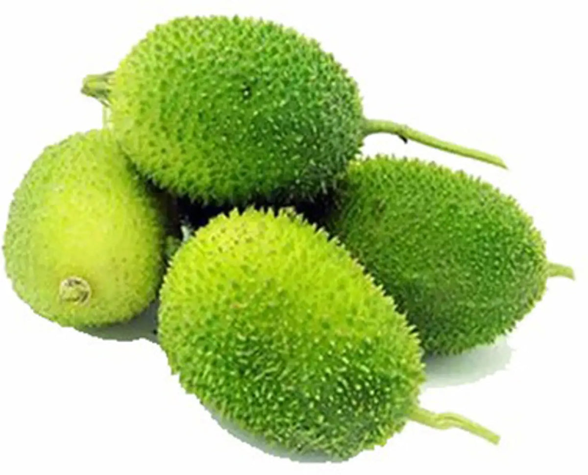 Green Wooly Bear Gourd Vegetable Planting Seeds