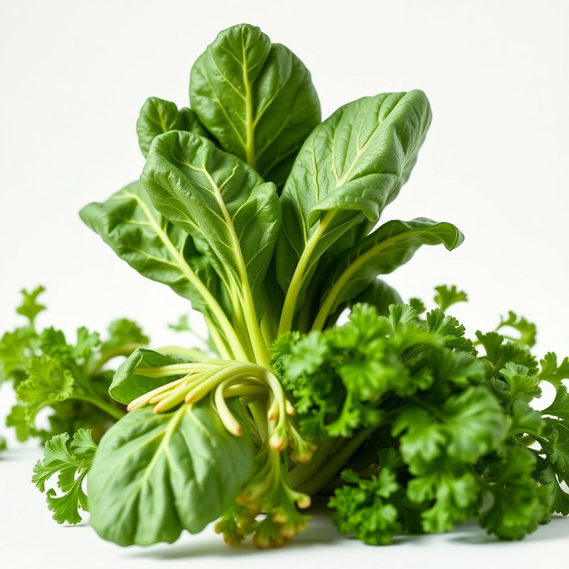 Green Crispum Vegetable Seeds for Planting Fresh Leafy Greens