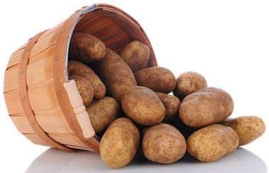 Potato Solanum tuberosum Vegetable Seeds for Planting in Vegetable Patch