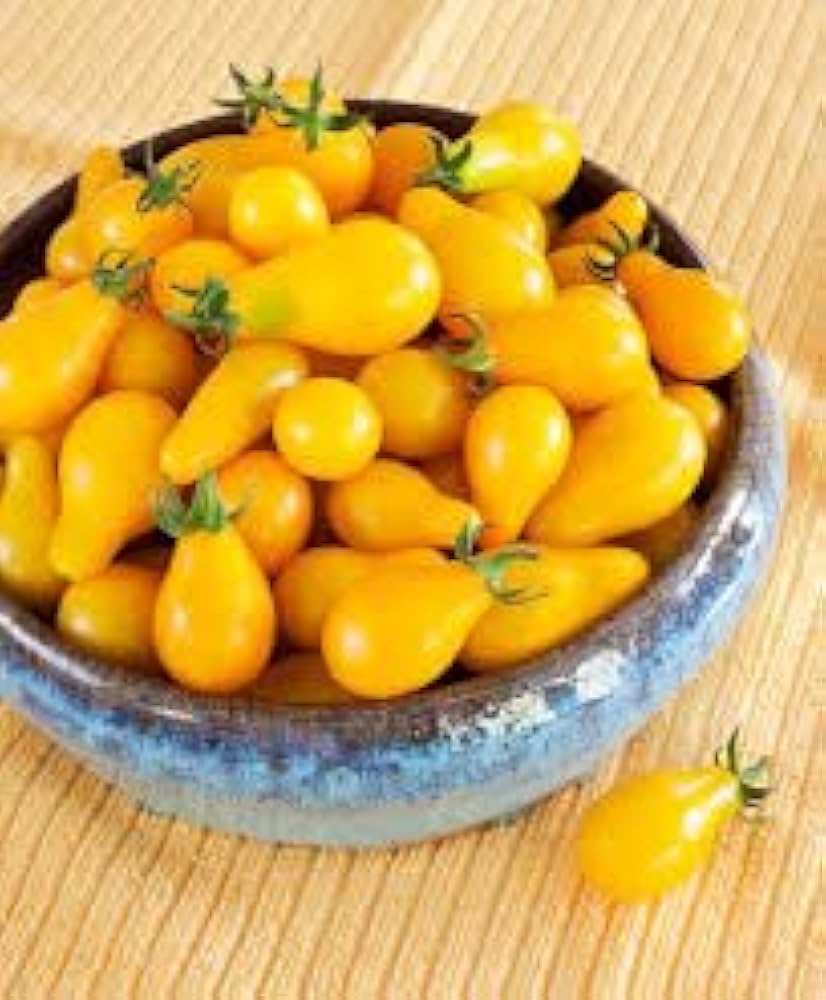 Yellow Pear Tomato Seeds Solanum lycopersicum for Planting in Urban Garden and Raised Beds