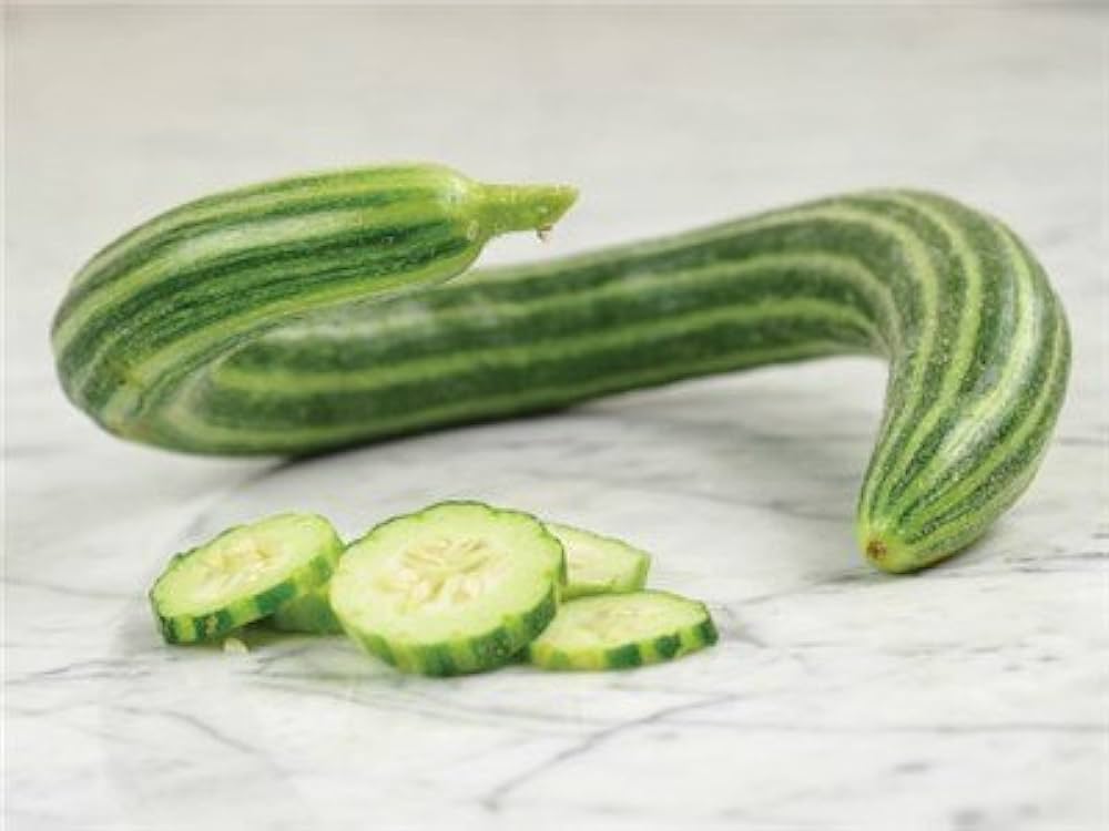 Trichosanthes Cucumerina Seeds for Vegetable Planting