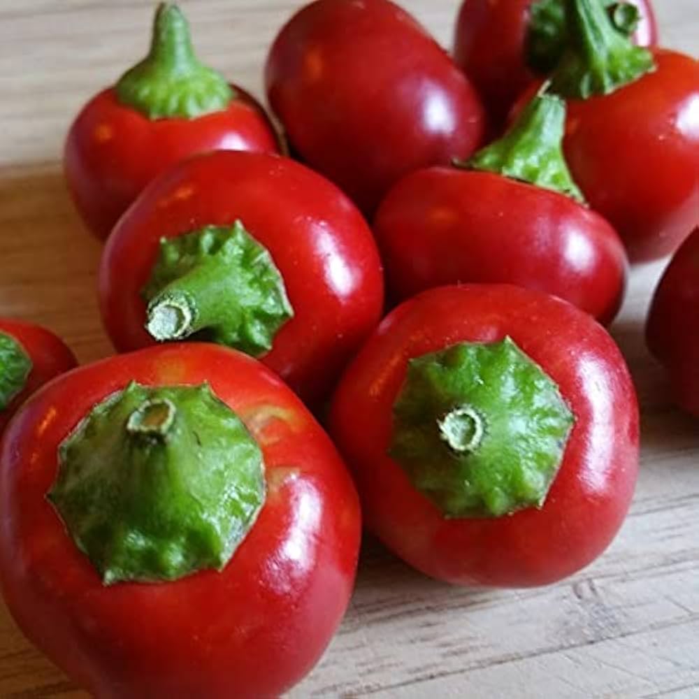 Pimento Capsicum annuum Seeds for Planting in Kitchen Garden and Vegetable Patch