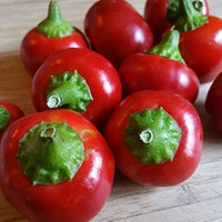 Pimento Capsicum annuum Seeds for Planting in Kitchen Garden and Vegetable Patch