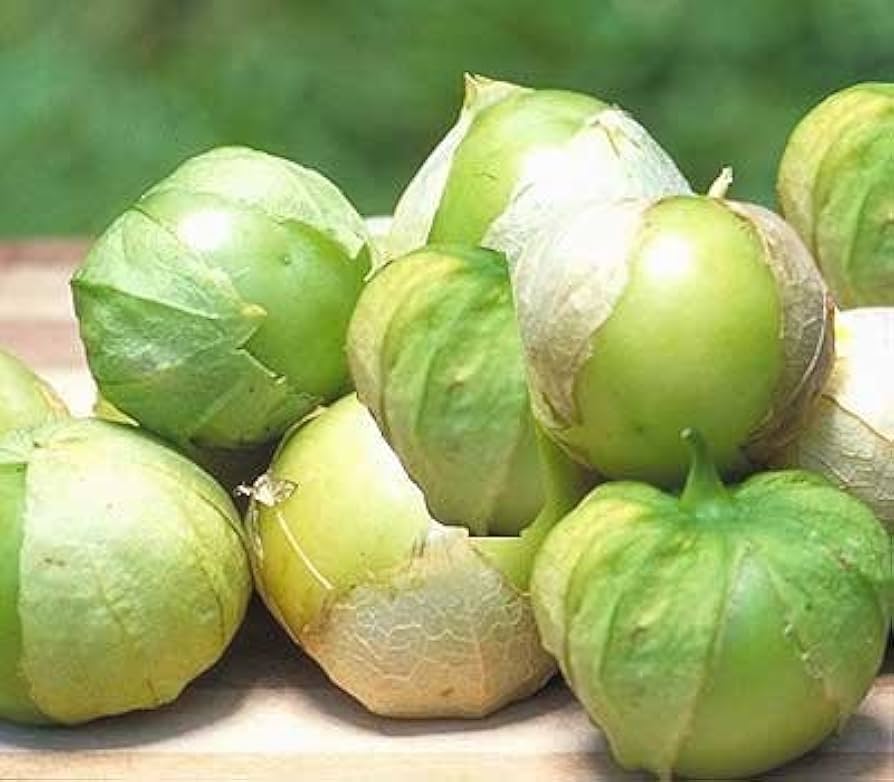 Tomatillo Toma Verde Tomato Seeds for Tangy, Green Tomatoes