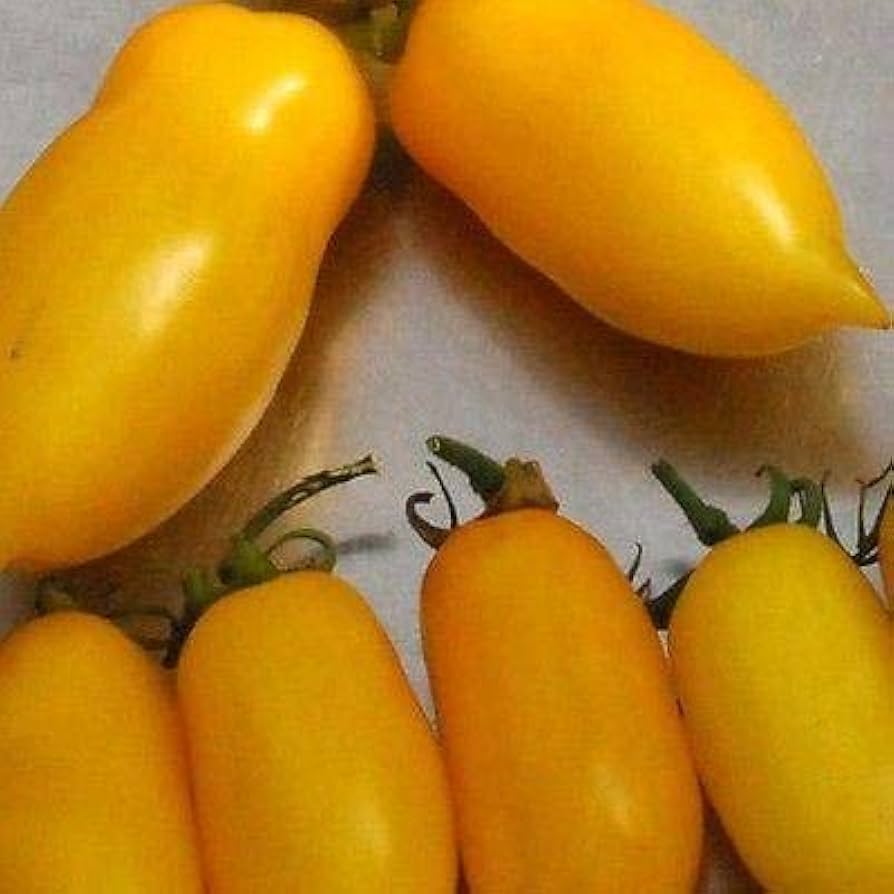 Banana Legs Tomato Seeds for Planting vegetable patch