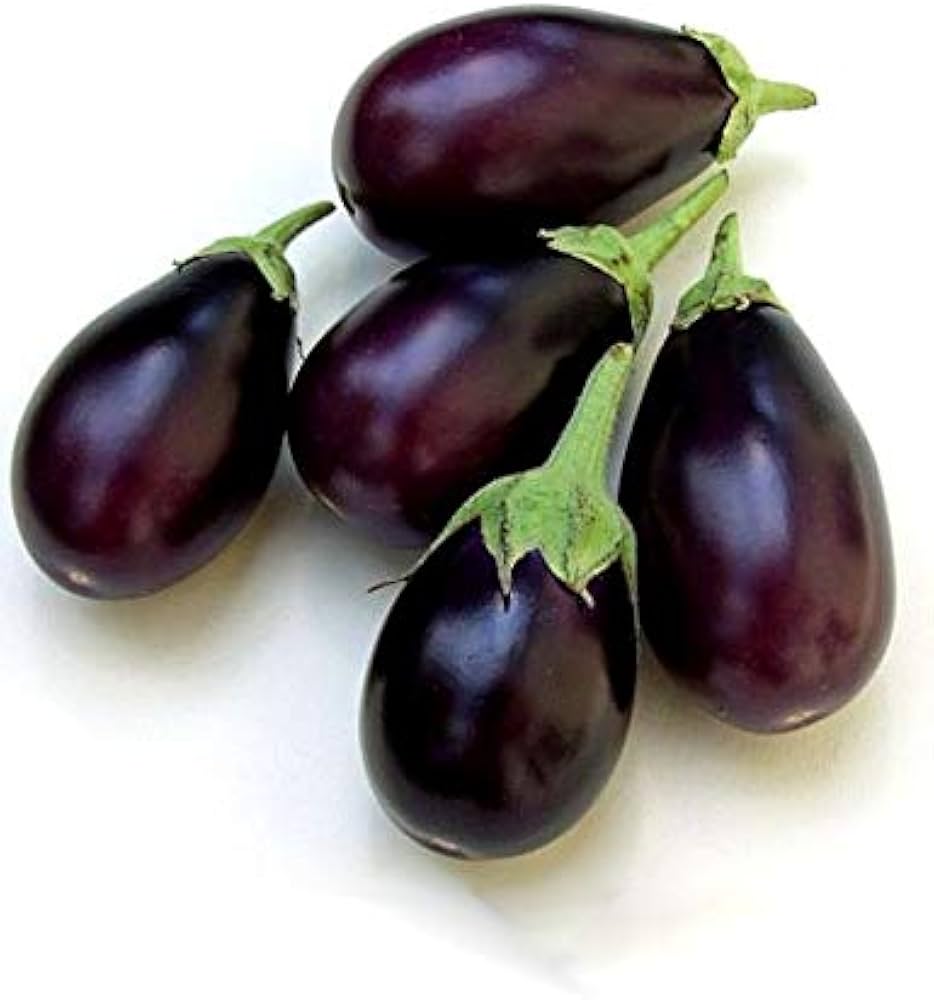 Dusky Eggplant Seeds for Planting Solanum melongena for vegetable patch and home garden