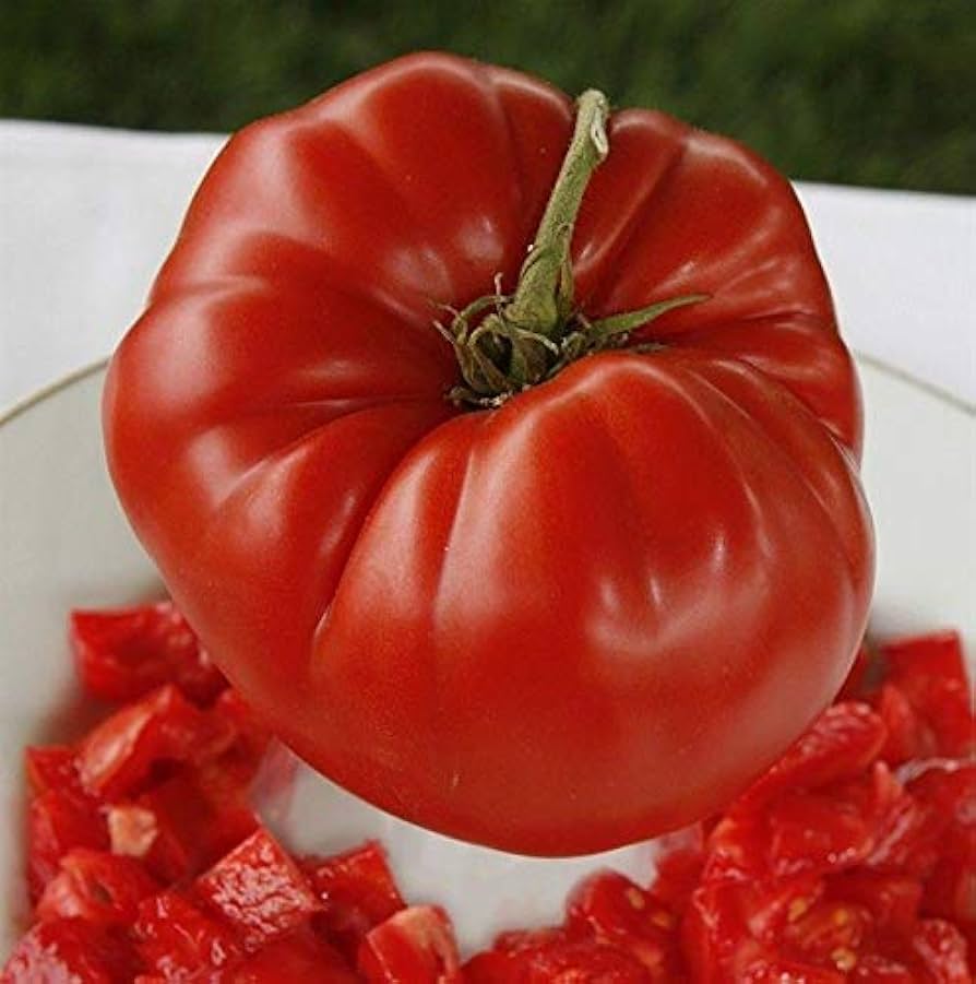 Aussie Tomato Paste seeds for vegetable garden planting