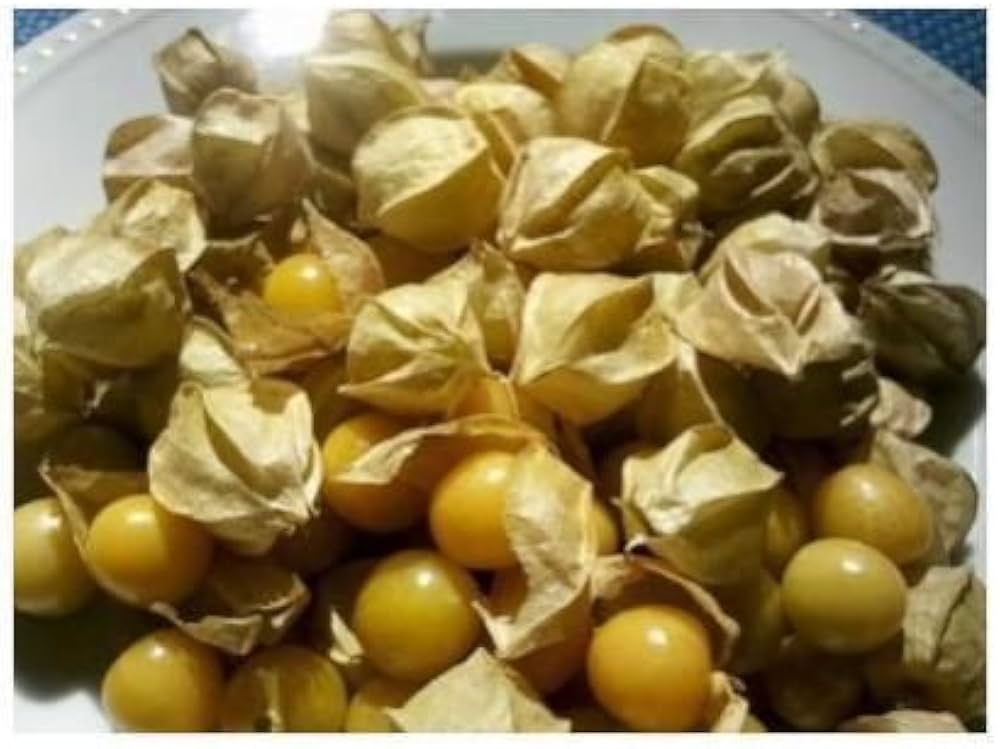 Tomatillo Husk Tomato Jamberry Kirsche Seeds for Tangy, Sweet Fruits
