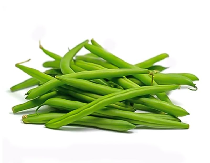 Bush Bean Vegetable Seeds for Easy Planting