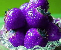 Strawberry Fruit Seeds Purple for Planting  Seed for Unique, Colorful Strawberry Growth