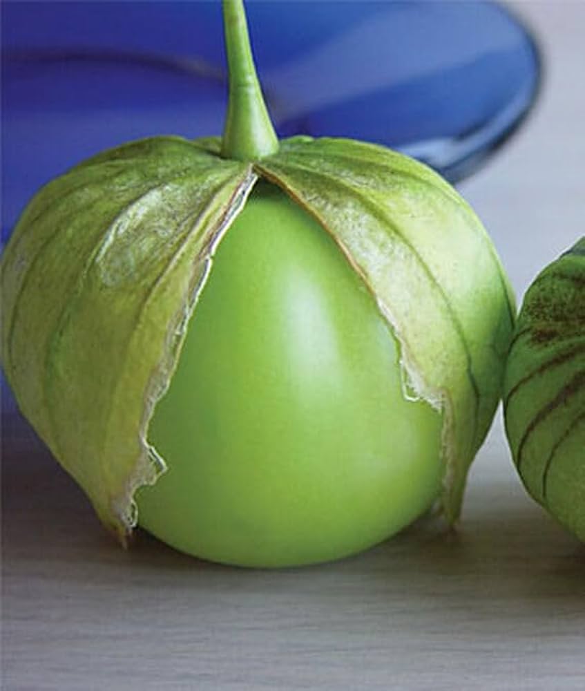 Tomatillo Toma Verde Tomato Seeds for Tangy, Green Tomatoes