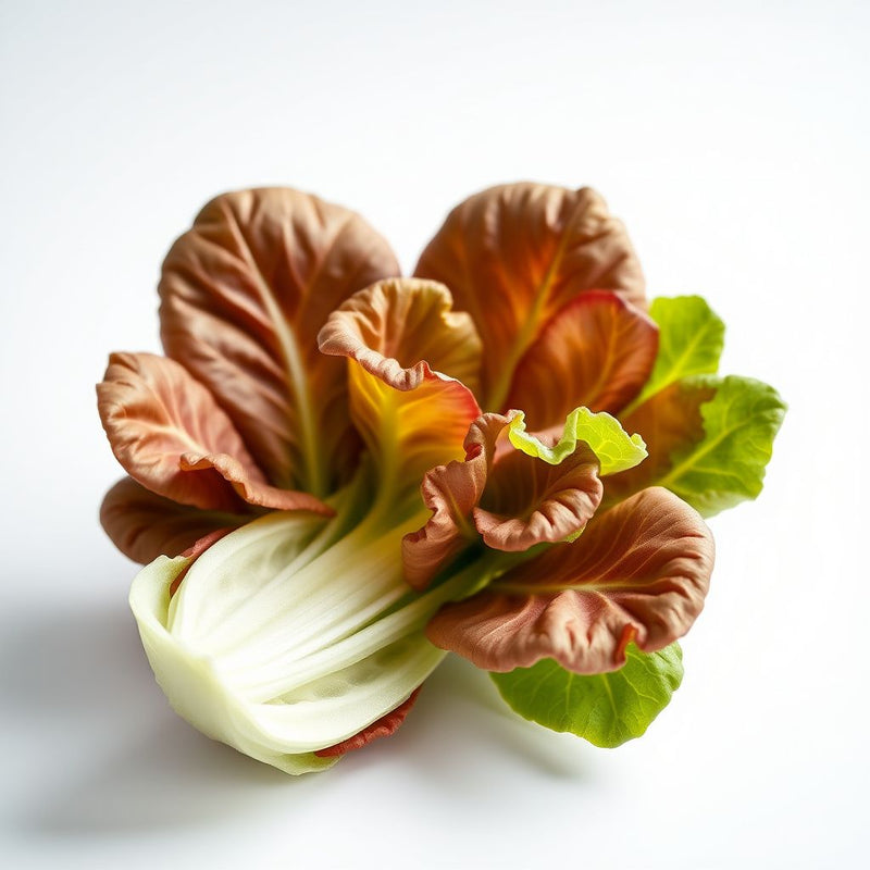 Celtuce Seeds for Planting | Grow Your Own Vegetable