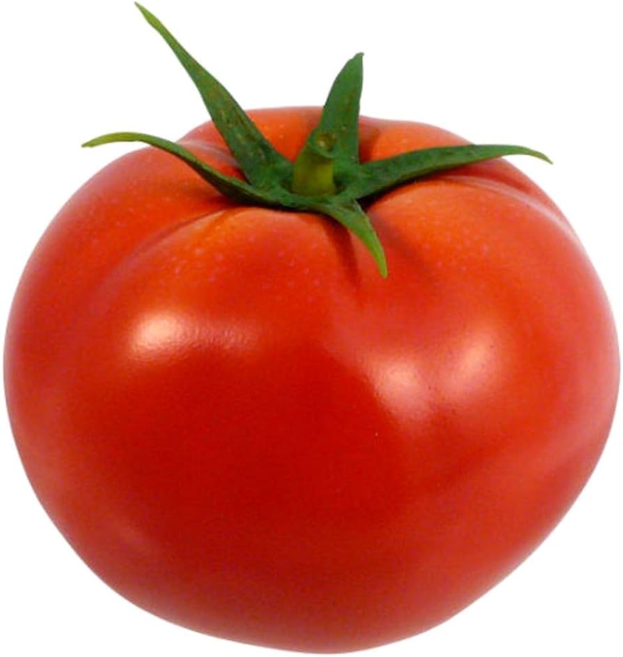 Homestead Tomato Solanum lycopersicum Seeds for Planting - Ideal for Vegetable Patch & Urban Garden
