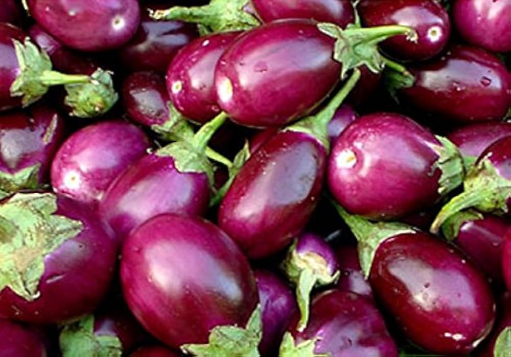 Eggplant Sweet Fruit Flavor , Vegetable Seeds for Planting - Add Exotic Charm to Your Garden