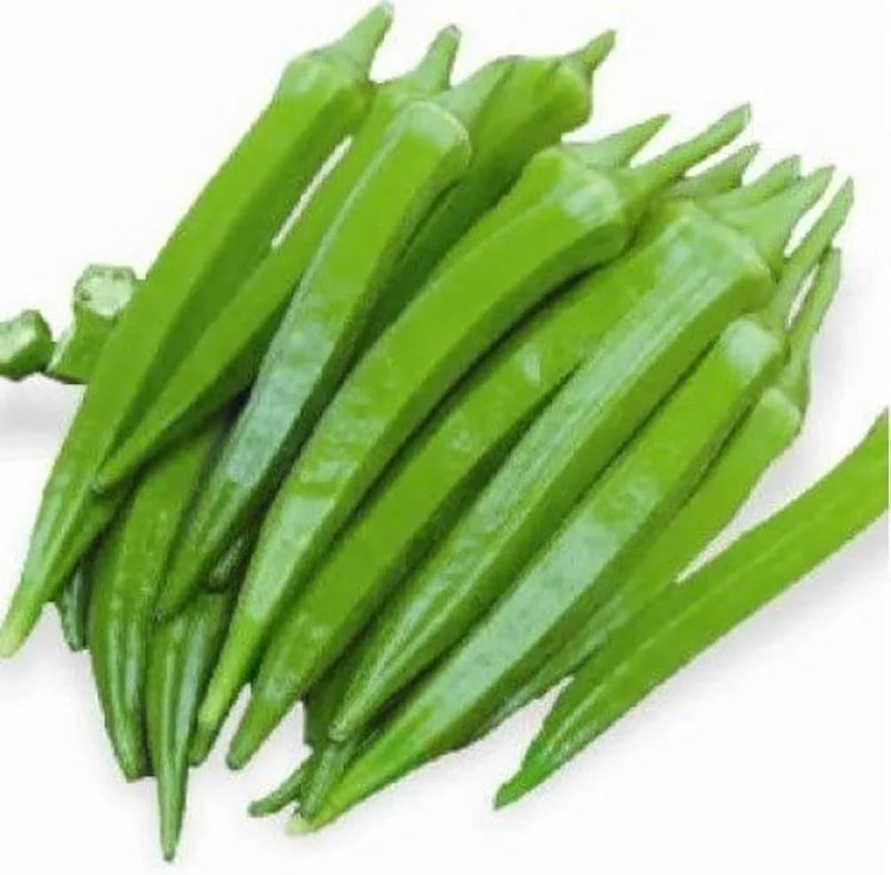 Okra Vegetable Seeds for Easy Planting