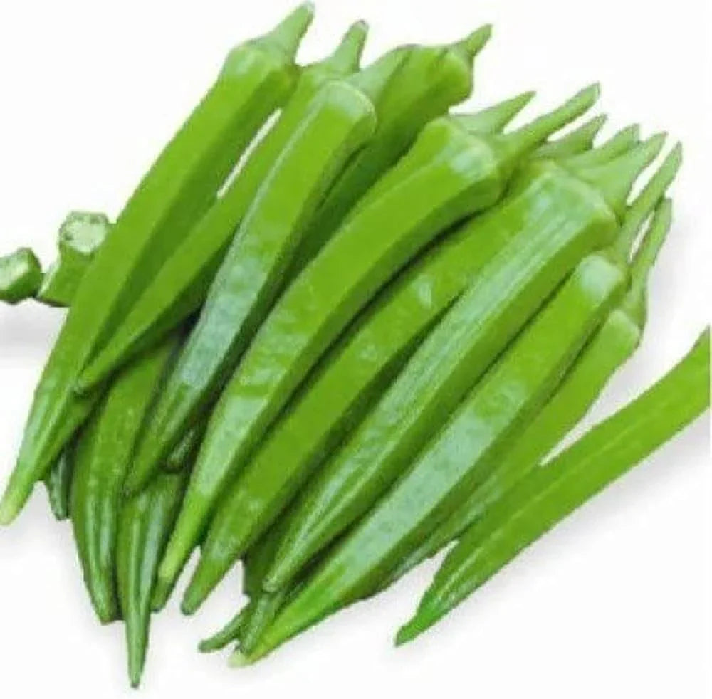 Okra Vegetable Seeds for Easy Planting