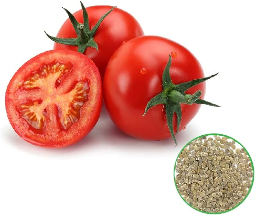 Better Boy Tomato Seeds for Planting Home Vegetable Patch
