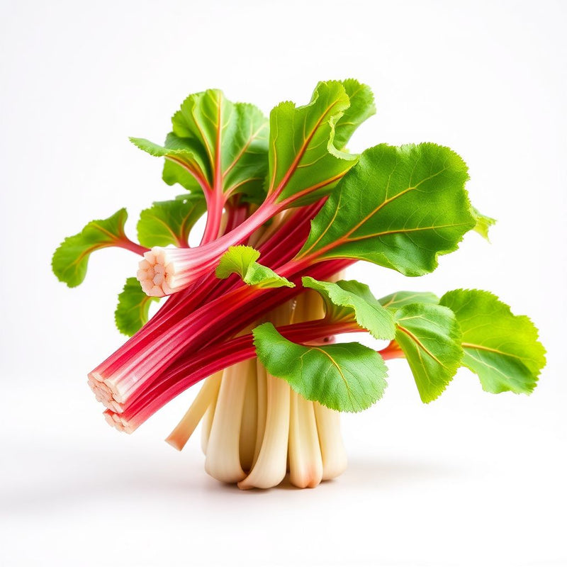 Ruibarbo Plant Seeds for Gardening and Planting: Grow Your Own Delicious Rhubarb!