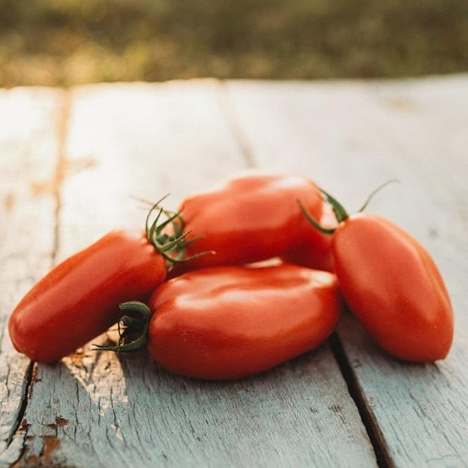 San Marzano Tomato Seeds for Authentic Italian Tomatoes