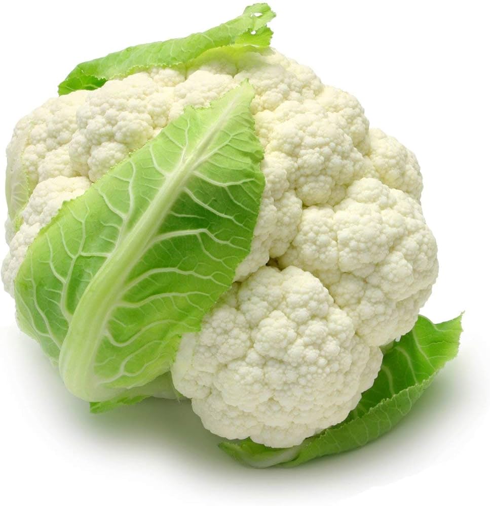 Snowball Cauliflower Brassica oleracea Seeds for Planting kitchen garden cool season bed