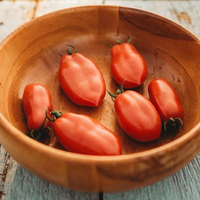 San Marzano Tomato Seeds for Authentic Italian Tomatoes