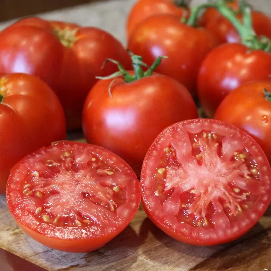 Better Boy Tomato Seeds for Planting vegetable patch