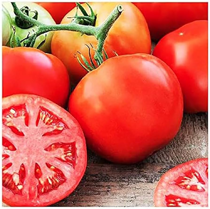 Giant Tomato Seeds for Planting Solanum lycopersicum for vegetable patches and home gardens