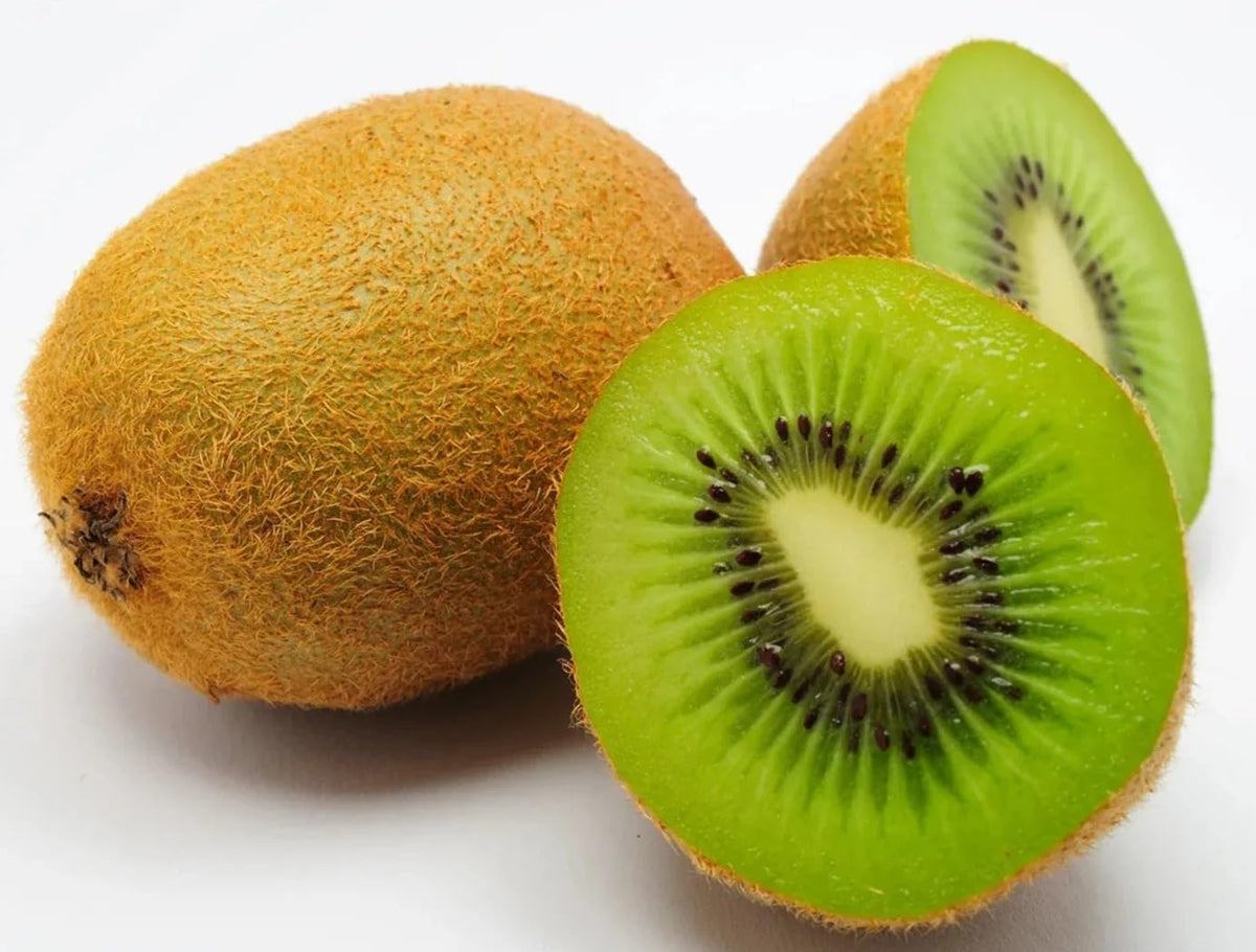 Kiwi Vine Seeds for Planting Actinidia deliciosa for trellises and home gardens