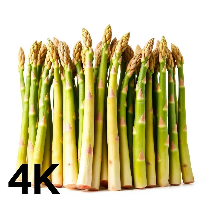 Wild Asparagus Planting Seeds for Lush Growth and Culinary Delights - Seed for Garden Enthusiasts