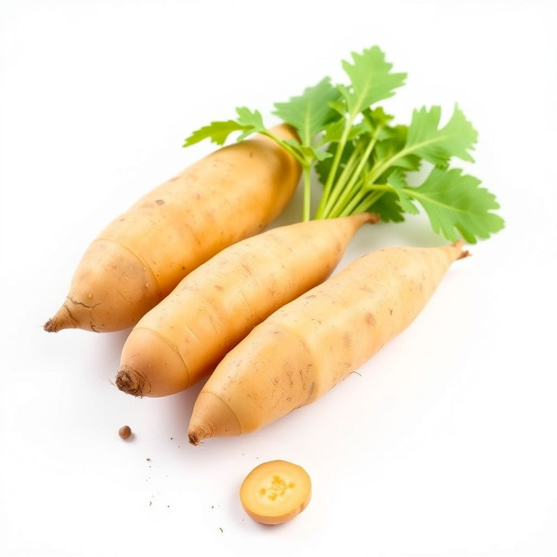 Yellow Sweet Potato Vegetable Planting Seeds