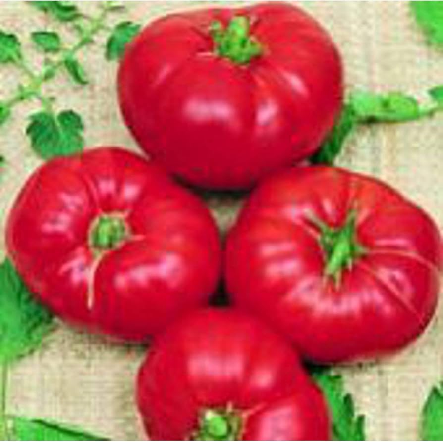 Boxcar Willie Tomato Seeds for Sweet, Heirloom Tomato Varieties