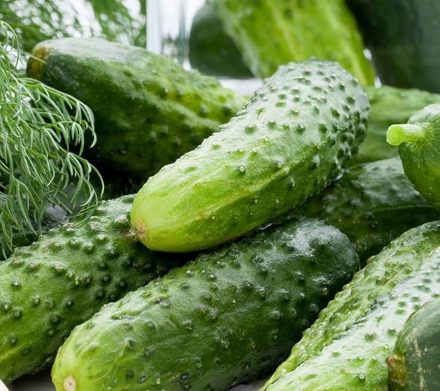 Cucumber Lyalyuk Little Mini Pickling Seeds - Ideal for Home Planting and Garden Growing