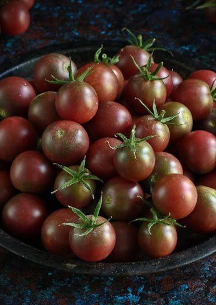Black Cherry Tomato Seeds for Planting vegetable patch
