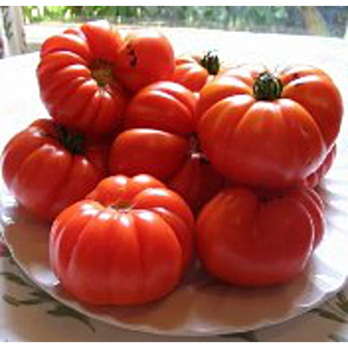 Aussie Tomato Paste Seeds for Planting Home Vegetable Kitchen Garden
